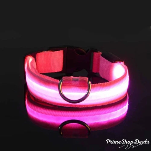 USB Rechargeable LED Dog Collar – Waterproof & Adjustable Night Safety Collar
