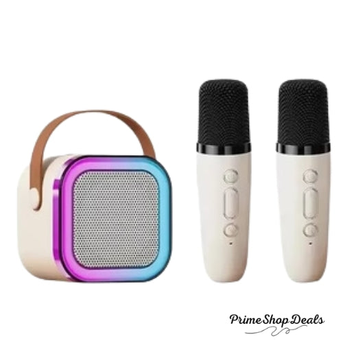 Portable Bluetooth Karaoke Machine with Wireless Microphones