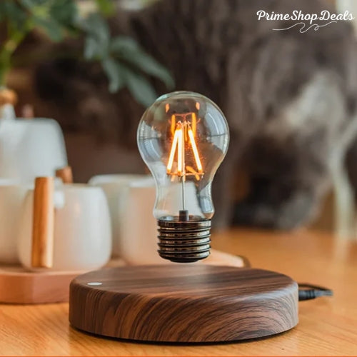 Magnetic Levitating LED Lamp with Wooden Base