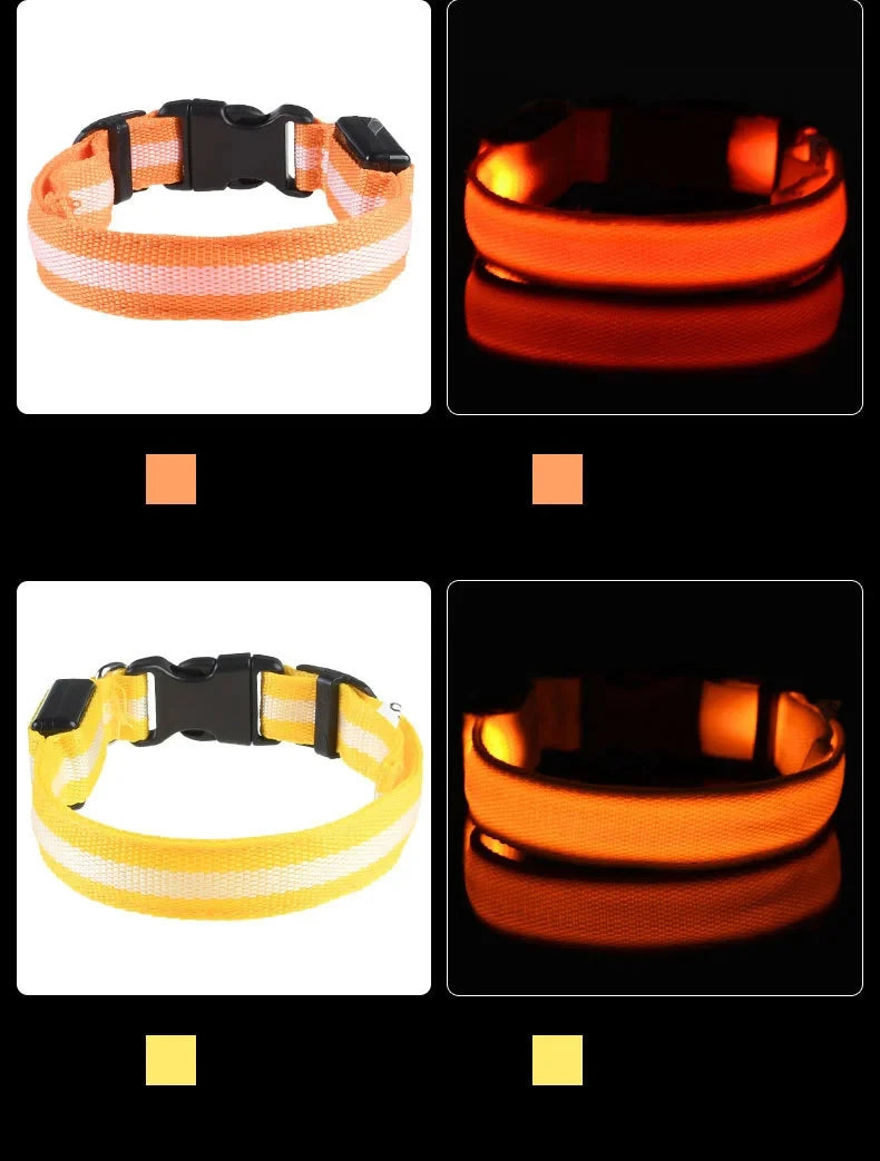 USB Rechargeable LED Dog Collar – Waterproof & Adjustable Night Safety Collar