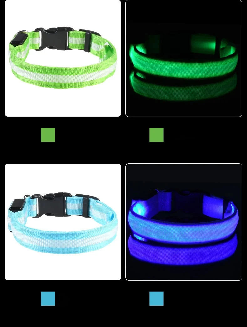 USB Rechargeable LED Dog Collar – Waterproof & Adjustable Night Safety Collar