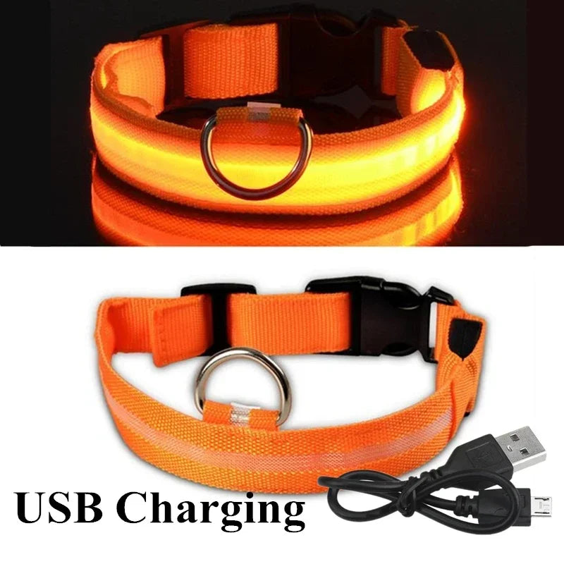 USB Rechargeable LED Dog Collar – Waterproof & Adjustable Night Safety Collar