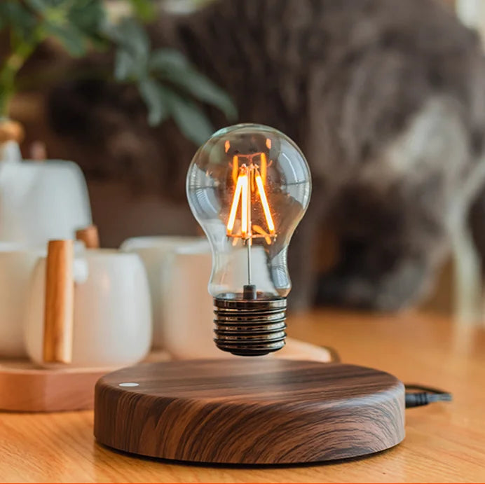 Magnetic Levitating LED Lamp with Wooden Base