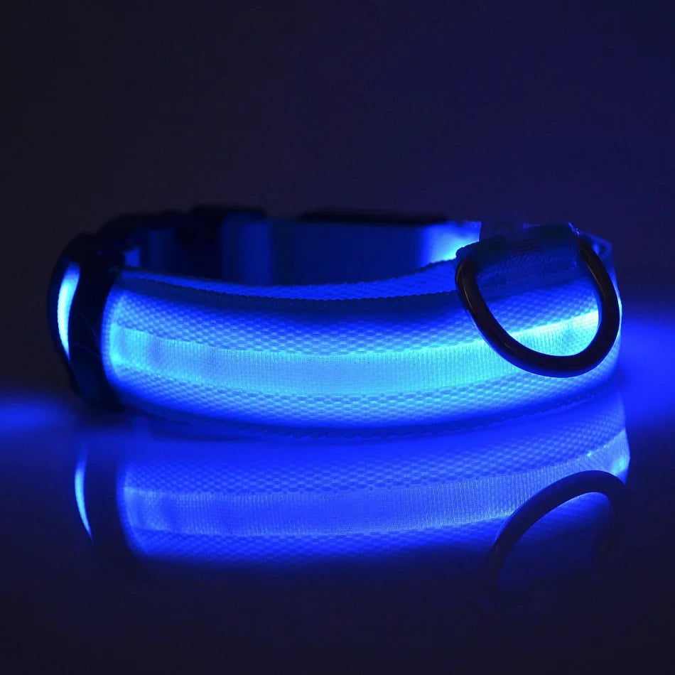 USB Rechargeable LED Dog Collar – Waterproof & Adjustable Night Safety Collar