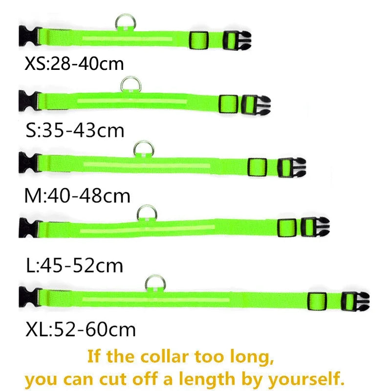 USB Rechargeable LED Dog Collar – Waterproof & Adjustable Night Safety Collar