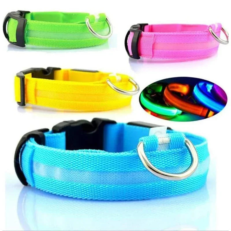 USB Rechargeable LED Dog Collar – Waterproof & Adjustable Night Safety Collar