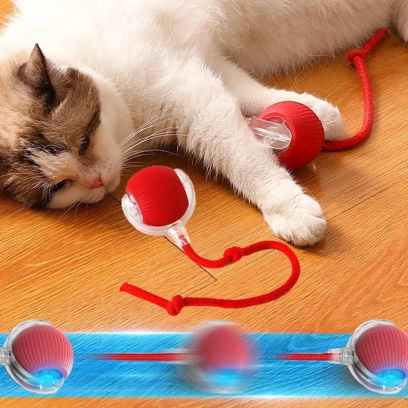 USB Rechargeable Smart Rolling Cat Toy – Type-C Charging Interactive Ball