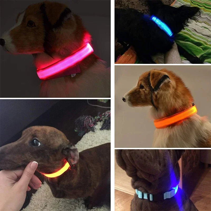 USB Rechargeable LED Dog Collar – Waterproof & Adjustable Night Safety Collar