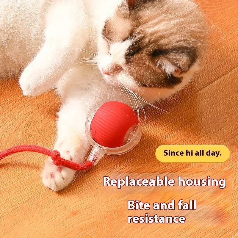 USB Rechargeable Smart Rolling Cat Toy – Type-C Charging Interactive Ball