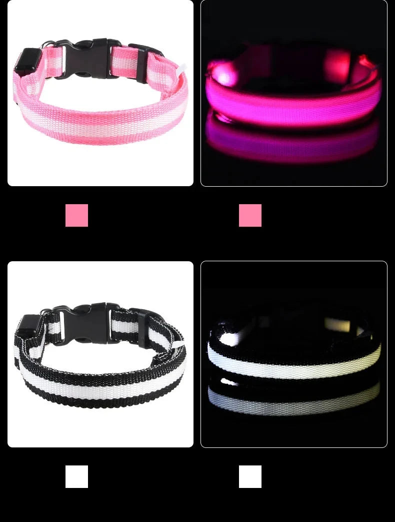 USB Rechargeable LED Dog Collar – Waterproof & Adjustable Night Safety Collar