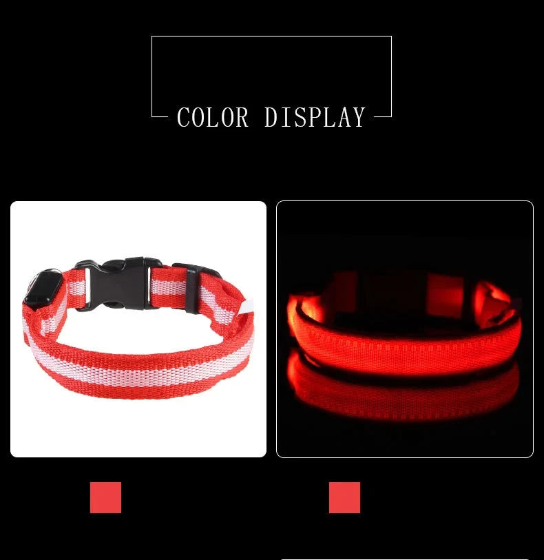 USB Rechargeable LED Dog Collar – Waterproof & Adjustable Night Safety Collar