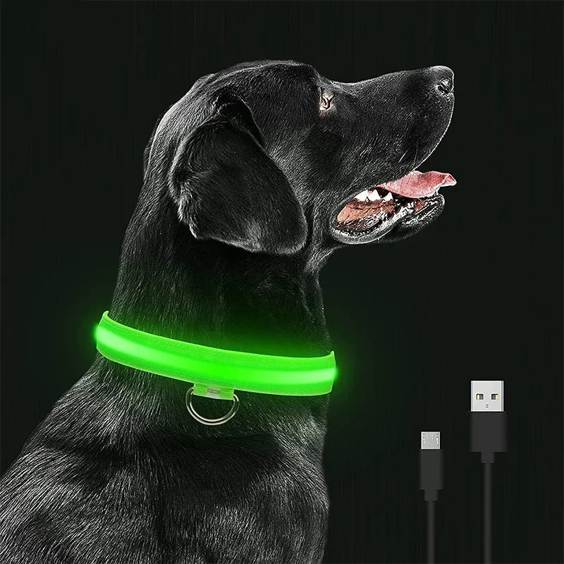 USB Rechargeable LED Dog Collar – Waterproof & Adjustable Night Safety Collar