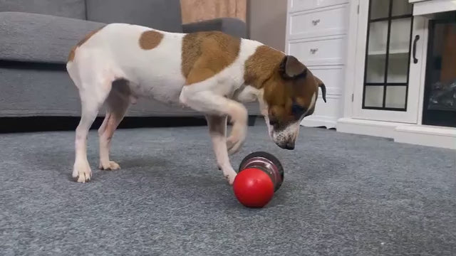 Interactive Dog Puzzle Feeder Ball – Slow Feeder & Mental Stimulation Toy