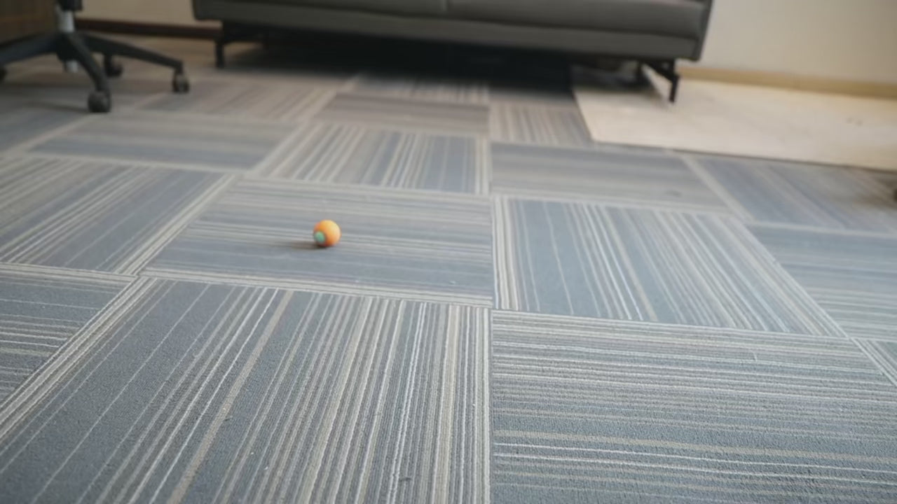 Smart Interactive Cat Bouncing Ball