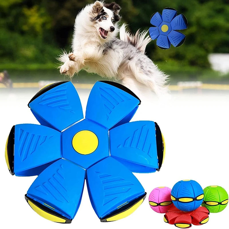 Transforming Flying Saucer Dog Toy