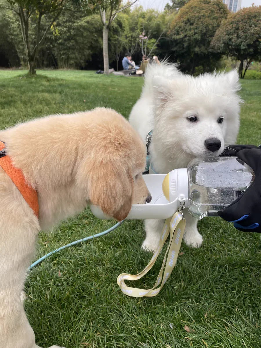 2-in-1 Portable Dog Water and Food Dispenser Bottle