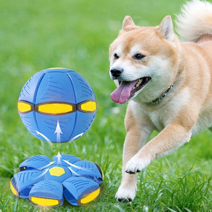 Transforming Flying Saucer Dog Toy