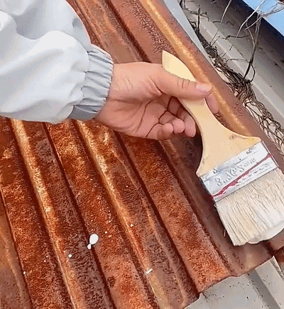 Water-Based Rust Converter & Metal Protection Coating