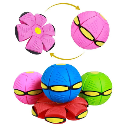 Transforming Flying Saucer Dog Toy