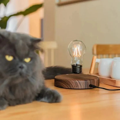 Magnetic Levitating LED Lamp with Wooden Base