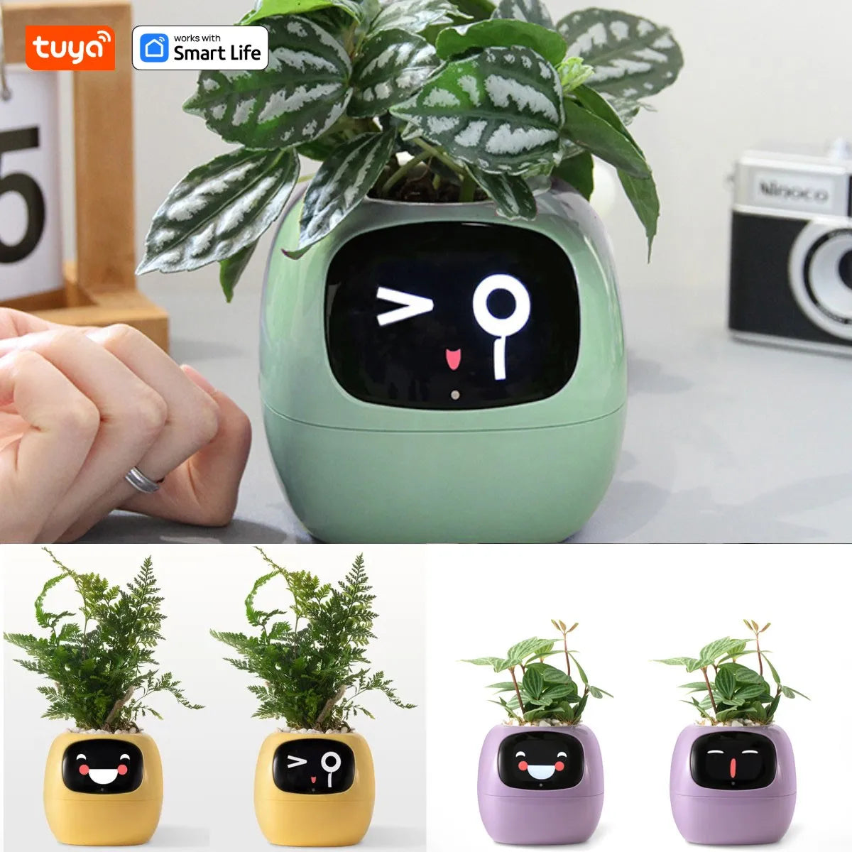 Tuya Ivy Smart Planter with Interactive AI & Customizable Display